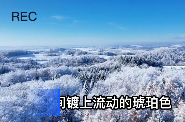视频去字幕